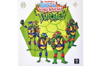 Пакет поліетиленовий (L) QB005-206 "Черепашки Ніндзя" р.50x40 см qbee купити