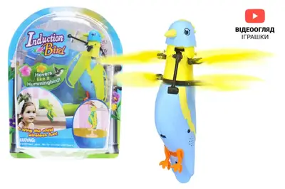 Індуктивна іграшка "Пташка" озвучена, зі світлом, на блістері CX-51 р.17*23*5см купити