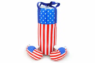 Боксерський набір L-USA "Америка" великий DANKO купити