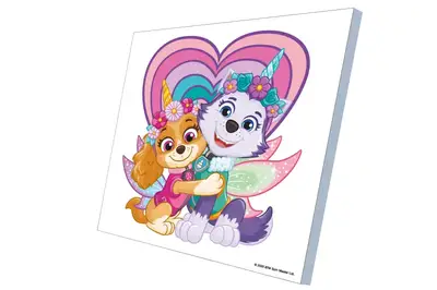 Набір для розпису по номерах 30х30 см QB913-008 "Щенячий патруль: Скай і Еверест" qbee купити