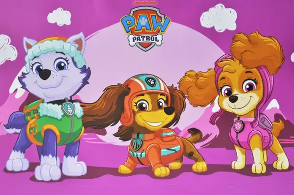 Пакет паперовий XL QB004-304 "Щенячий Патруль: Команда дівчат" р.50x35x17 см qbee купити недорого в Україні, фото 4