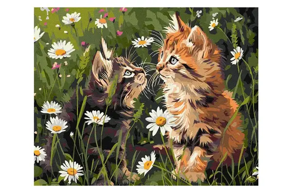 Набір для розпису по номерах "Котики у квітах" KHO6631 40х50см IDEYKA купити