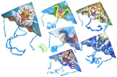 Повітряний змій 786206 в асортименті р.80 см купити