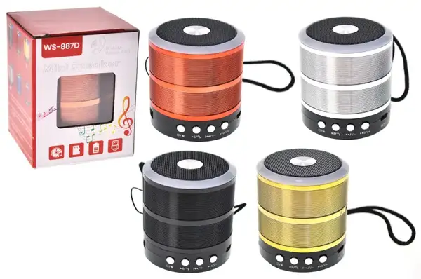 Міні-колонка портативна WS-887D на акумуляторі, підтримка Blootooth, FM, карти пам'яті купити