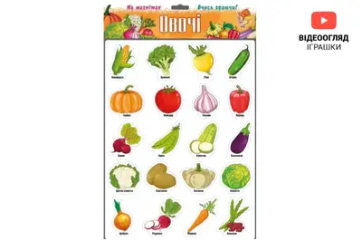 Магніти "Овочі" 1267 ARTOS купити