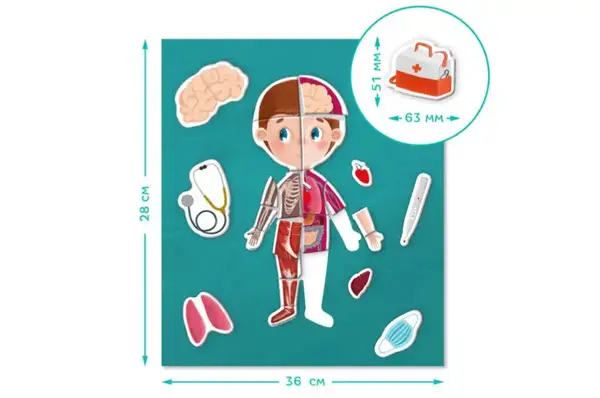 Розвиваюча гра 200220 "Магнітне тіло" DoDo купити недорого в Україні, фото 5