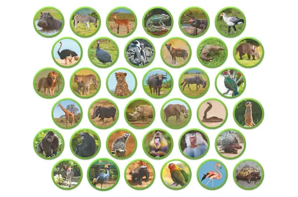 Магнітний набір 200284 "Монтесорі. Тварини на континентах: Африка" DoDo купити недорого в Україні, фото 2