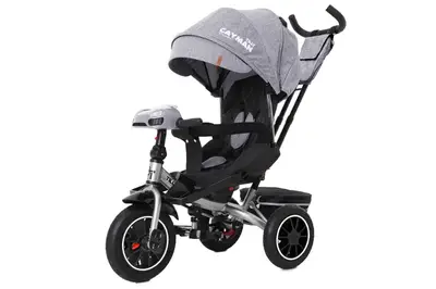 Велосипед триколісний TILLY CAYMAN з пультом і посиленою рамою T-381/7 Сірий льон Велосипед триколісний TILLY CAYMAN з пультом і посиленою рамою T-381/7 Сірий льон купити