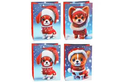 Подарунковий новорічний пакет 629M купити