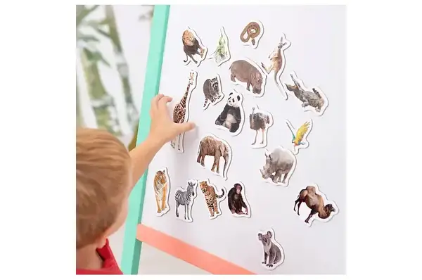 Набір магнитів "Зоо Фото" ML4031-02 EN купити недорого в Україні, фото 5