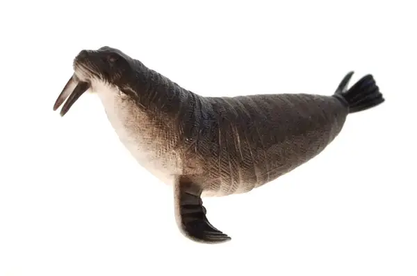 Набір морських тварин 303-78 в кульку р.35x40x10 см YG Toys купити недорого в Україні, фото 4