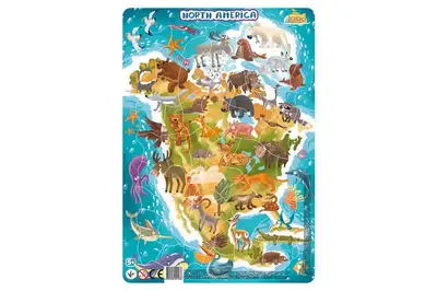 Пазл з рамкою "Північна Америка" (53 елементи) R300177 DoDo купити