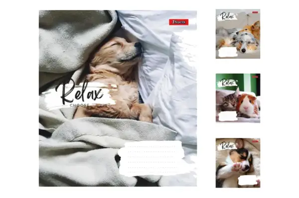 Зошит 36 аркушів клітинка в асортименті YES/1 Вересня купити