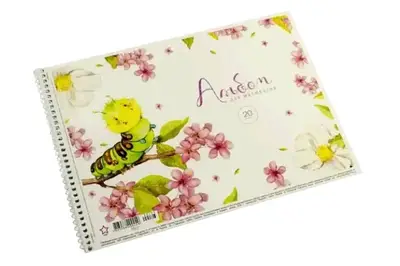 Альбом для малювання STAR 20 аркушів Спіраль 100г/м2 купити