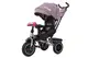 Велосипед триколісний TILLY CAYMAN з пультом і посиленою рамою T-381/7 Фіолетовий льон купити недорого в Україні, фото 29905