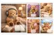 Зошит 24 Лінія 768975 "Bear stories" 1Вересня купити недорого в Україні, фото 67491