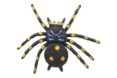 Стретч-іграшка Павук 5050-29 на планшеті р.17,5*28см. купити