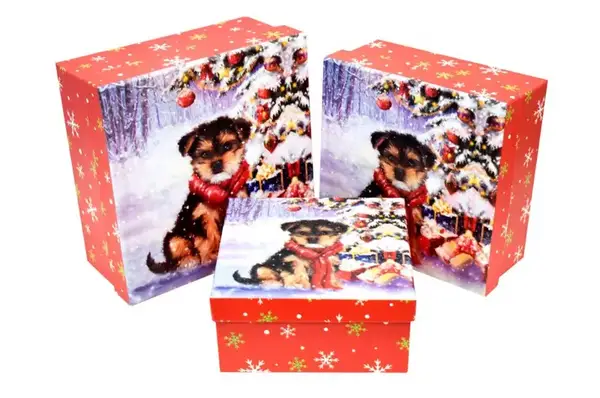 Набір подарункових коробок квадратних 3шт 4-8843 купити