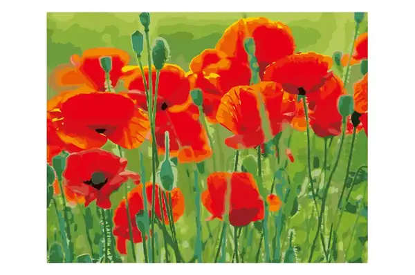 Набір для розпису по номерах VA-2660 "Маки у полі" на кольоровому фоні, розміром 40х50 см Strateg купити