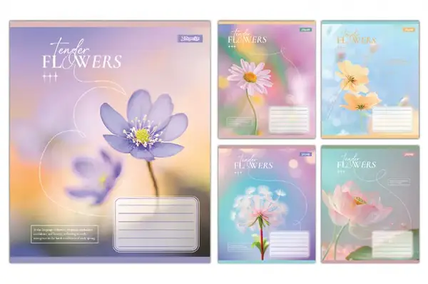 Зошит 60 Лінія 768083 "Tender Flowers" 1Вересня купити