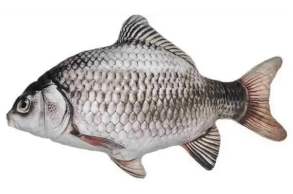 Іграшка м’яконабивна K-S-50 "КАРАСЬ СРІБНИЙ" 50см купити