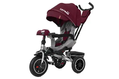 Велосипед триколісний TILLY CAYMAN з пультом і посиленою рамою T-381/7 Червоний льон Велосипед триколісний TILLY CAYMAN з пультом і посиленою рамою T-381/7 Червоний льон купити